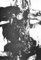 1981_1990\1985.0284p36.jpg; 1985.0284; ;